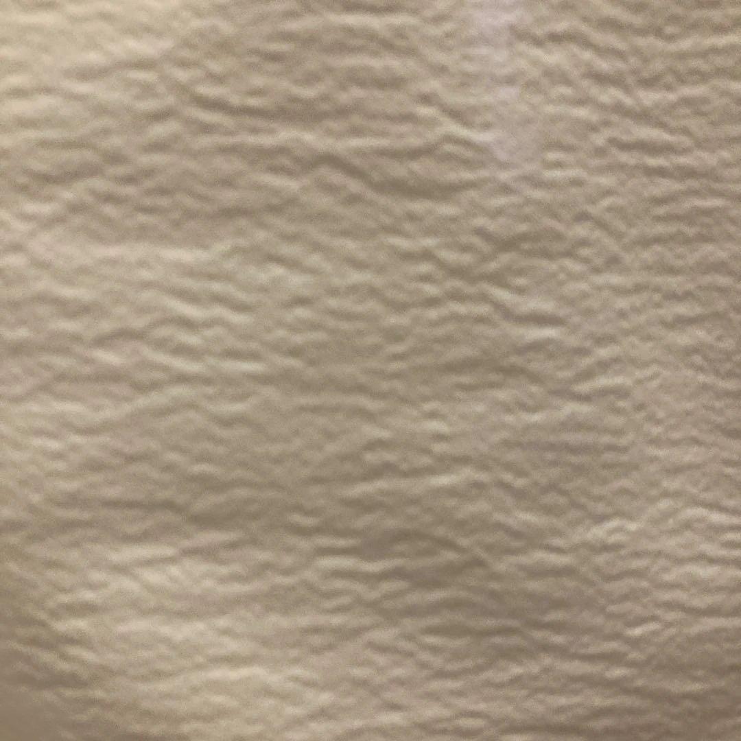 レースカーテン RL079 幅100×丈108cm 2枚入