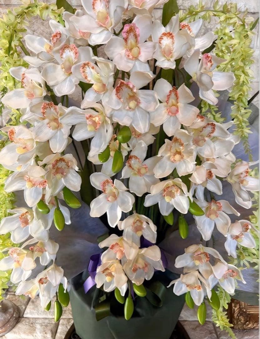 光触媒　人工観葉植物　フェイクグリーン　胡蝶蘭　シンピジューム６本立ち