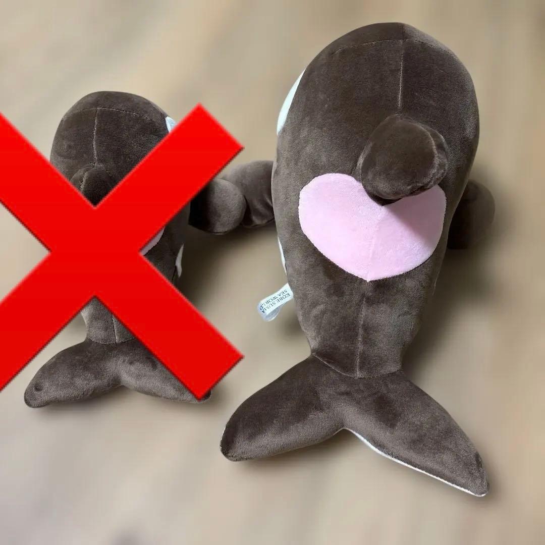 須磨シーワールド オルカくじ ショコラデュオ 3等 4等 - メルカリ