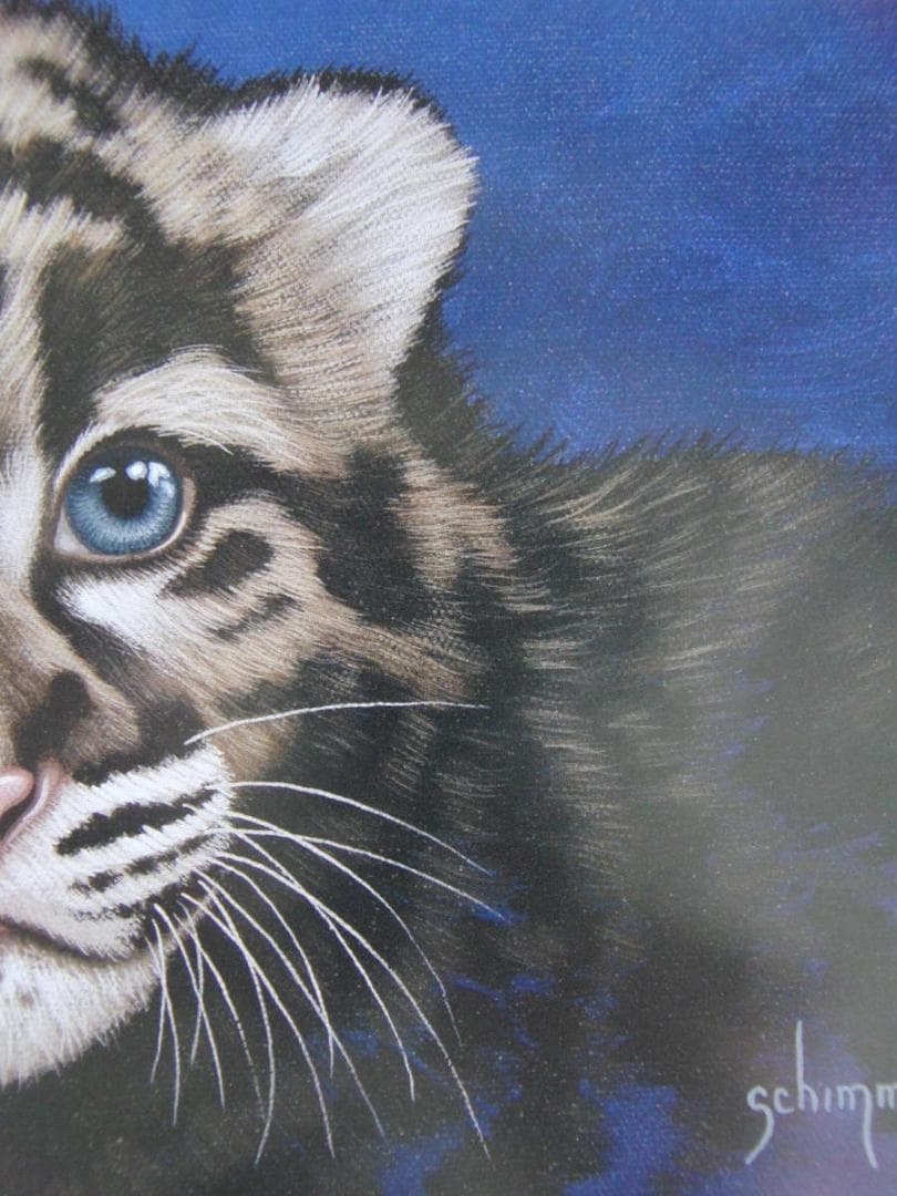 シム・シメール、【THE LITTLE CLOUDED LEOPARD】 - メルカリ