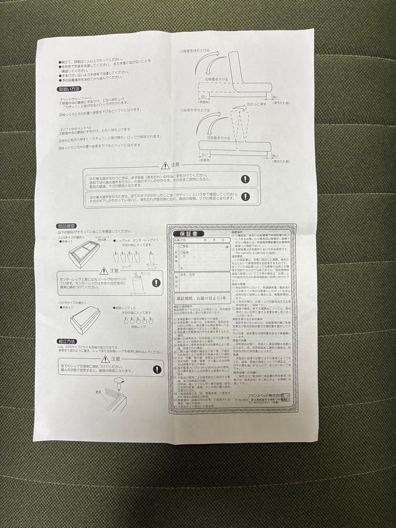 FranceBed ソファベッド　スイミーBasic green