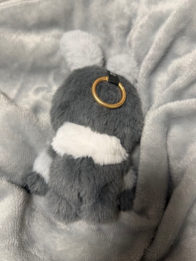 Clawzシークレット1月過ぎたら少しずつ値上げします。