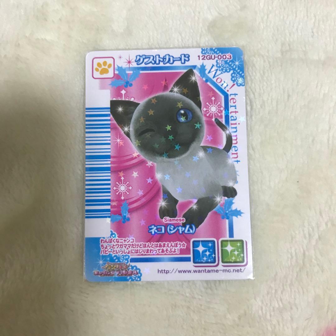 ワンタメカード ゲストカードねこ3種 - メルカリ