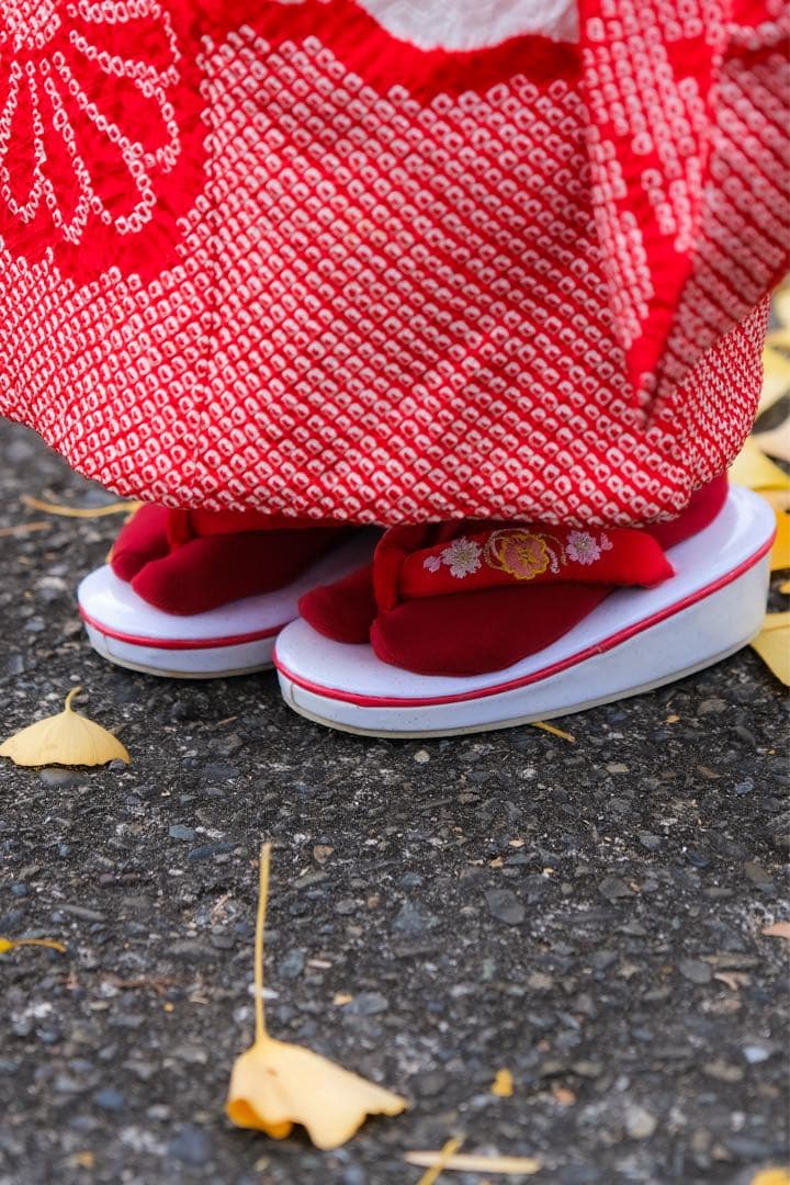 七五三 ３歳 被布 フルセット 一つ身 鶴 総絞り 正絹