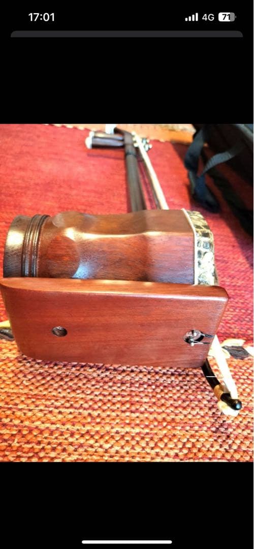 付属品充実！二胡本体と一式 ケース・教本DVD付き