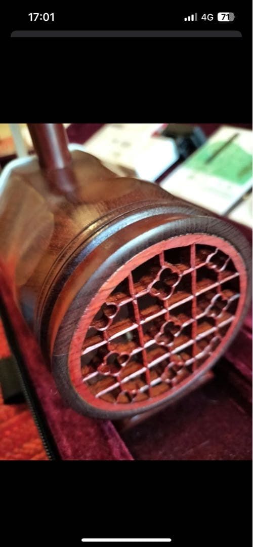 付属品充実！二胡本体と一式 ケース・教本DVD付き