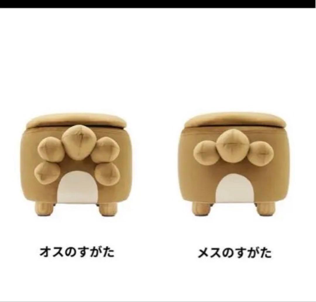 ポケモンスツール　ビッパ（オスのすがた）