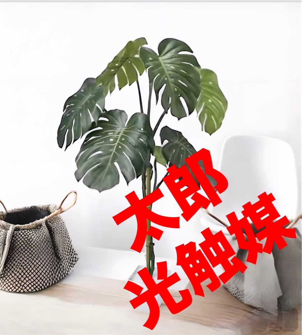 光触媒　人工観葉植物　ウォールグリーン　フェイクグリーン　モンステラ125