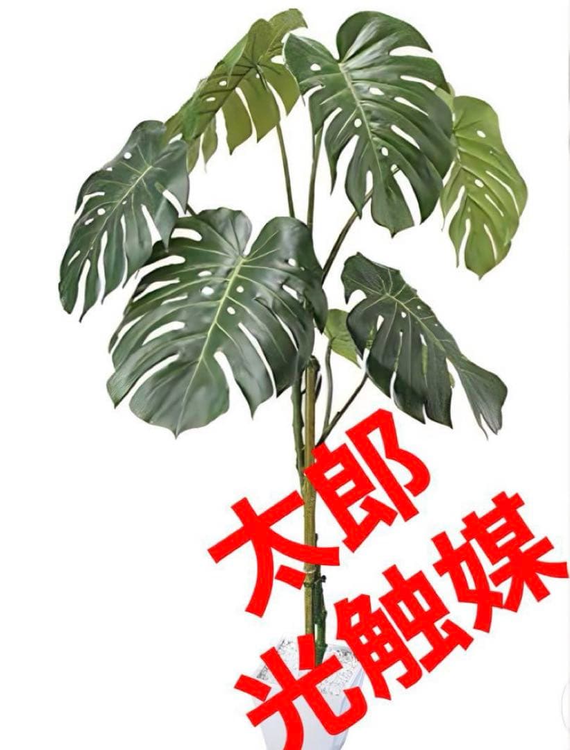 光触媒　人工観葉植物　ウォールグリーン　フェイクグリーン　モンステラ125