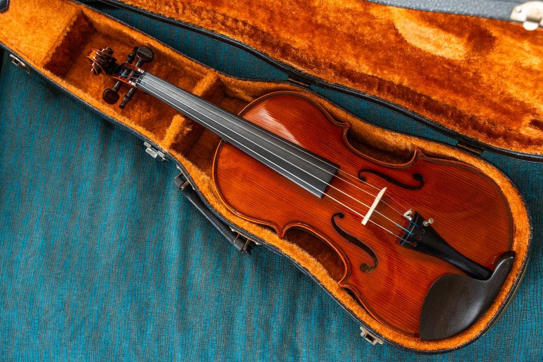 4/4 バイオリン 裏板1枚 - メルカリ