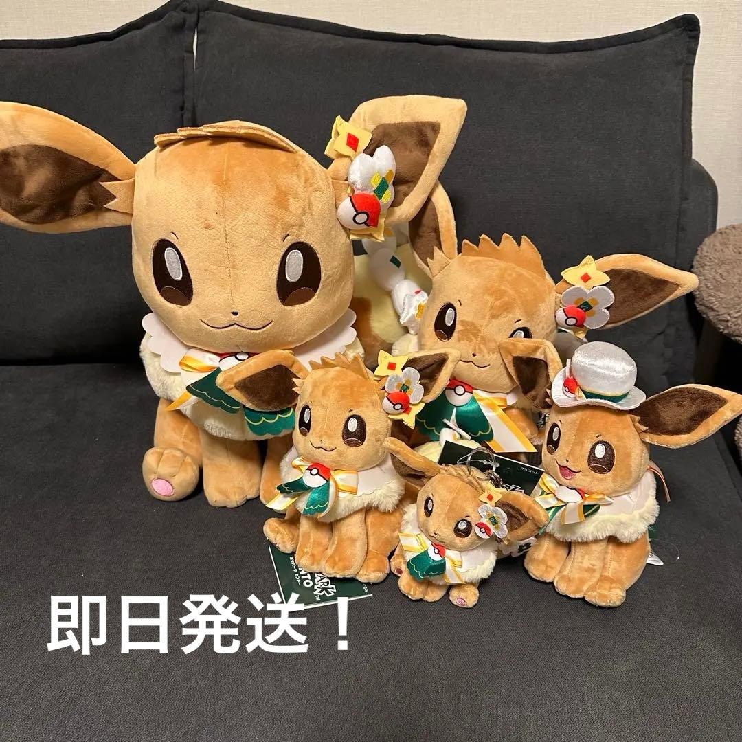 新品 ポケパーク カントー ショップ 限定 イーブイ ぬいぐるみ5体