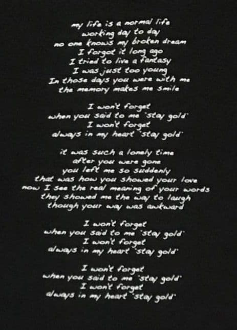 HI-STANDARD STAY GOLD Tシャツ ハイスタ サバシスター