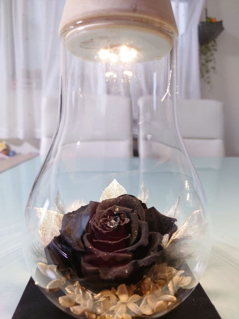 ✨プリザーブドフラワー　高級ダイヤモンドローズ　黒　LED付き　ガラス