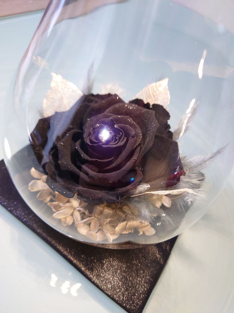 ✨プリザーブドフラワー　高級ダイヤモンドローズ　黒　LED付き　ガラス