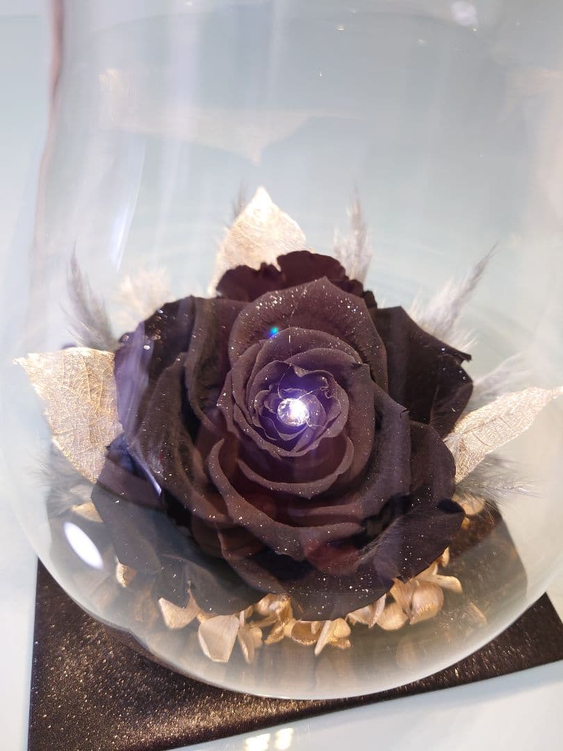 ✨プリザーブドフラワー　高級ダイヤモンドローズ　黒　LED付き　ガラス