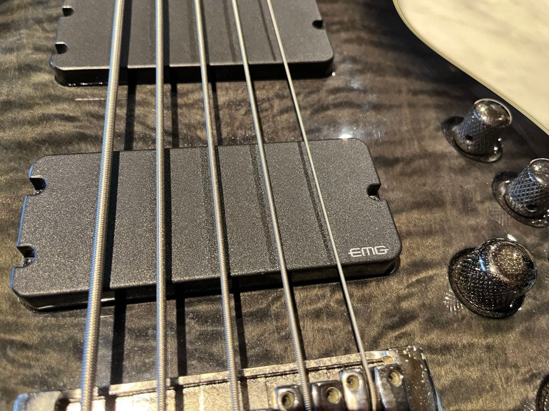 Schecter Diamond Series Elite-5 5弦ベース