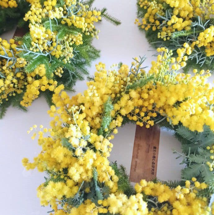 新品 未使用 ミモザリースミモザ ドライフラワー リース 【ご予約スタート】