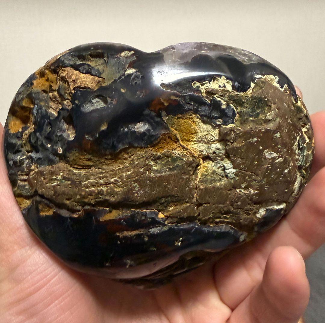 【希少・共生】アメジスト クラスター（カコクセナイト共生）