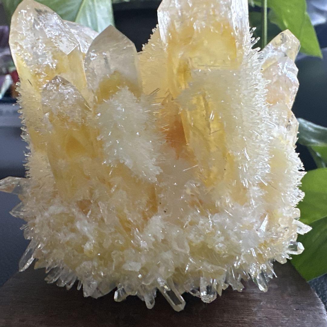 天然 水晶イエロー クラスター シトリン クォーツ パワーストーン　インテリア