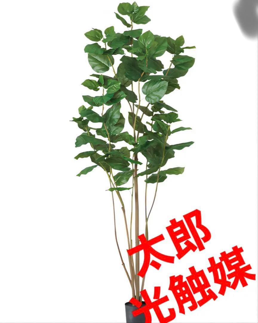 光触媒　人工観葉植物　ウォールグリーン　フェイクグリーン　ウンベラータ220
