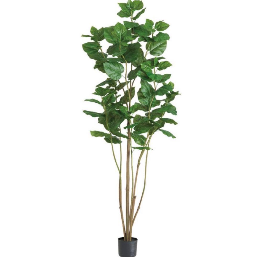 光触媒　人工観葉植物　ウォールグリーン　フェイクグリーン　ウンベラータ220