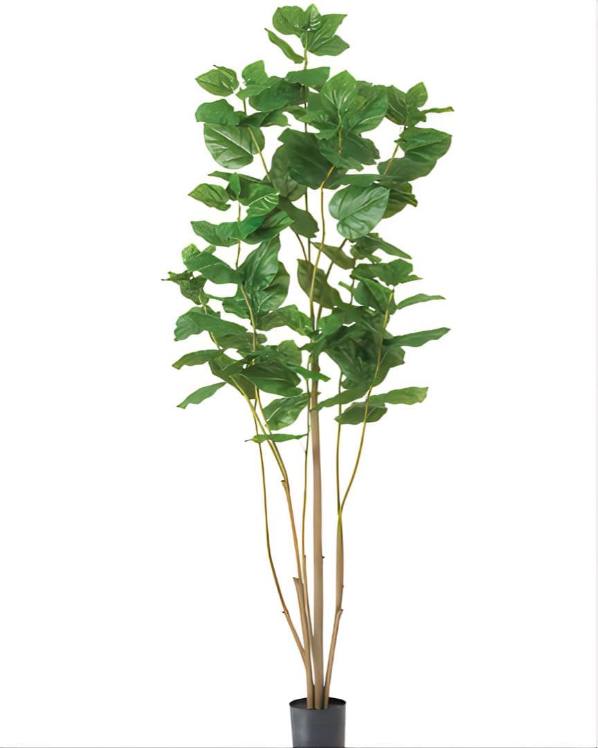 光触媒　人工観葉植物　ウォールグリーン　フェイクグリーン　ウンベラータ220