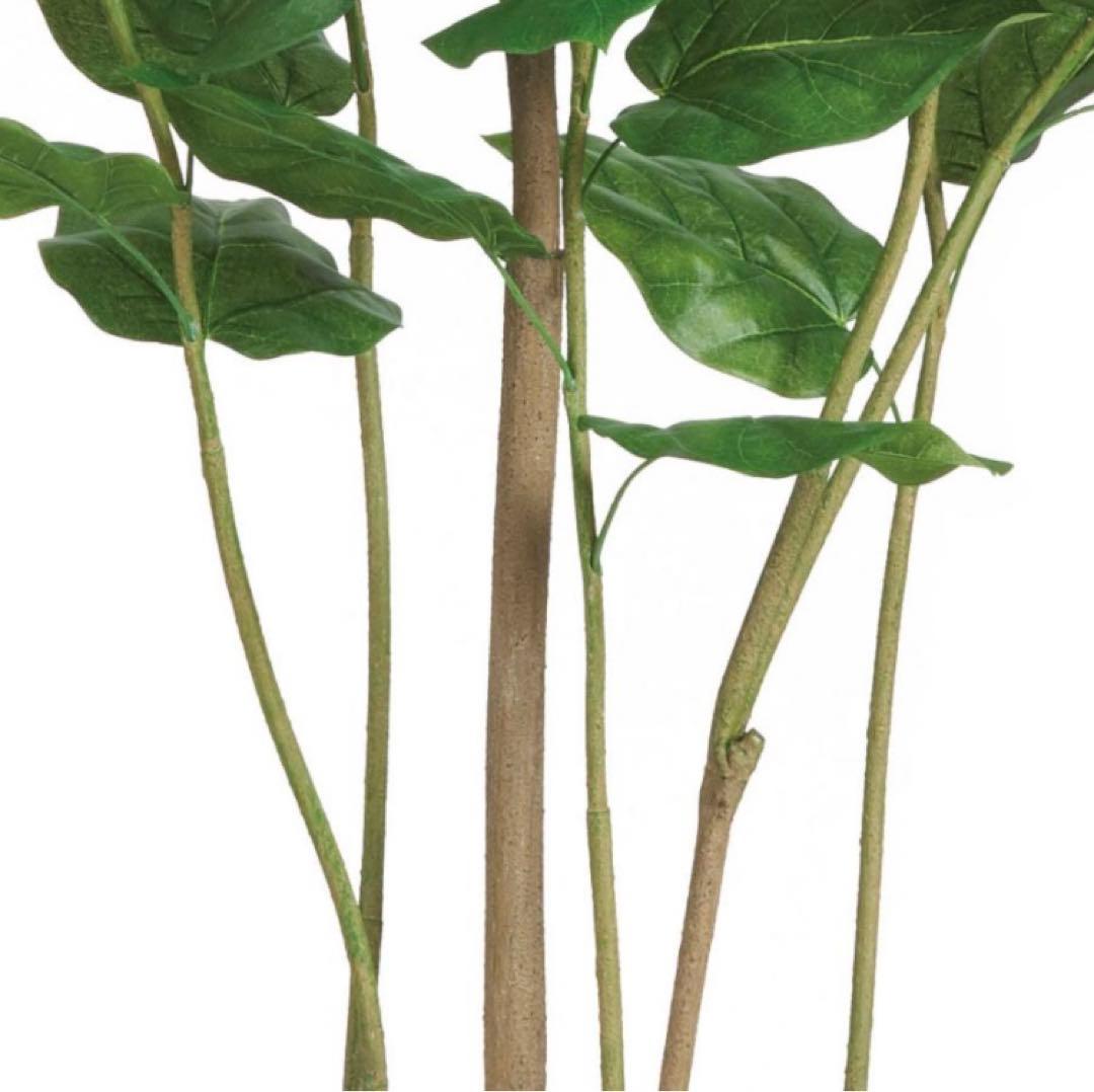 光触媒　人工観葉植物　ウォールグリーン　フェイクグリーン　ウンベラータ220