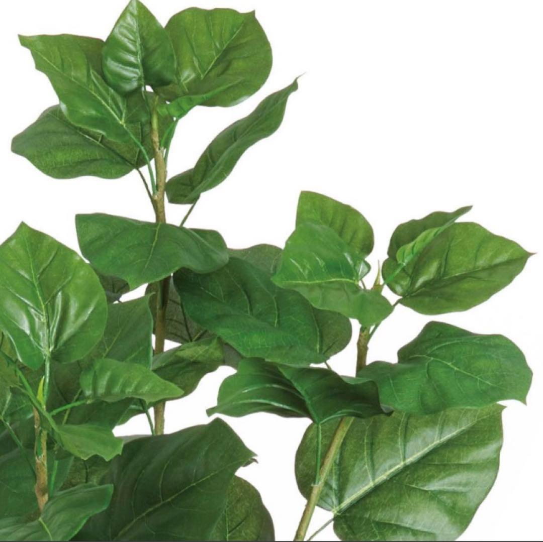 光触媒　人工観葉植物　ウォールグリーン　フェイクグリーン　ウンベラータ220