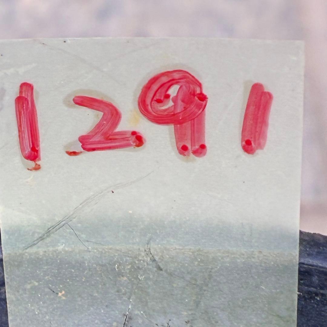 ラ*ク様 ❤️根っこ充実❤️1291 【超小輪　繊細ぼかし　アトロ交配】