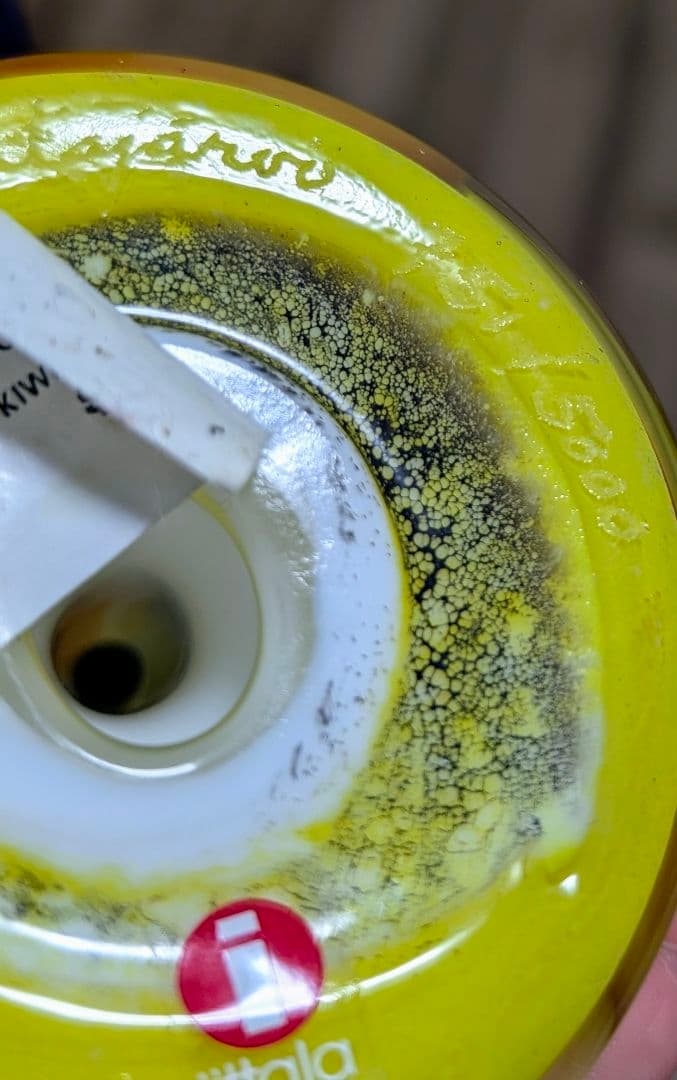  bird イッタラ バード Jewelled kiwi