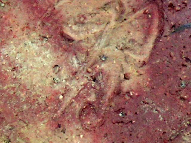 ♥各務賢周　焼締　壺　花瓶　備前　骨董　古玩