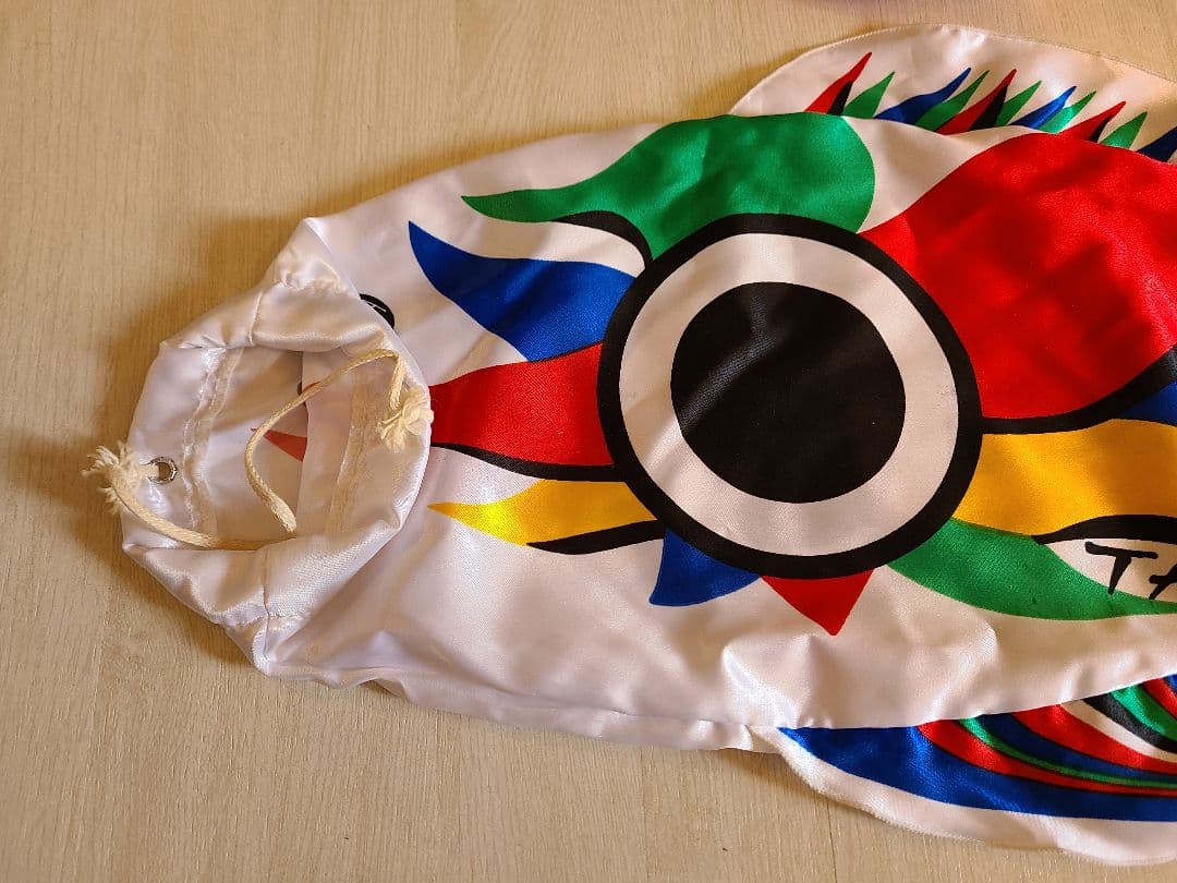 岡本太郎　鯉のぼり　豆鯉