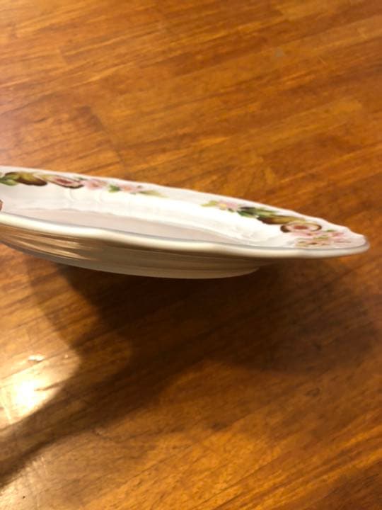 HUTSCHENREUTHER（フッチェンロイター）大皿5枚ワンセット