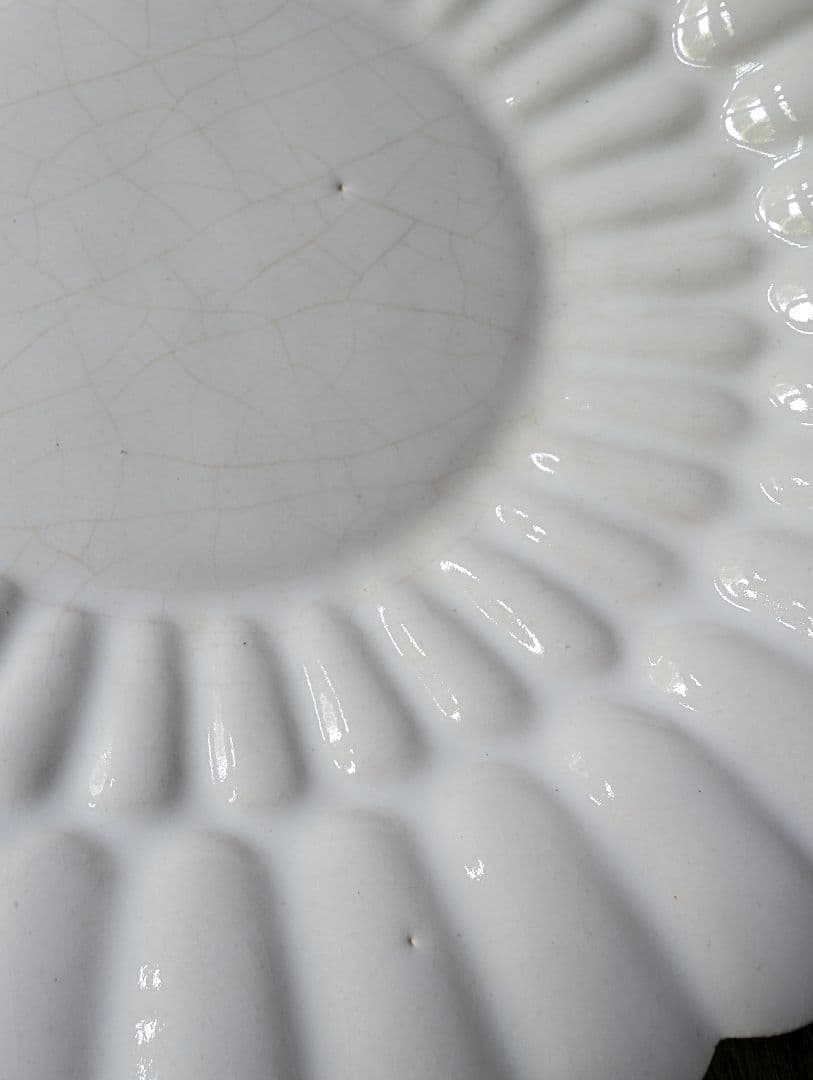 高島大樹 輪花大皿 6枚組