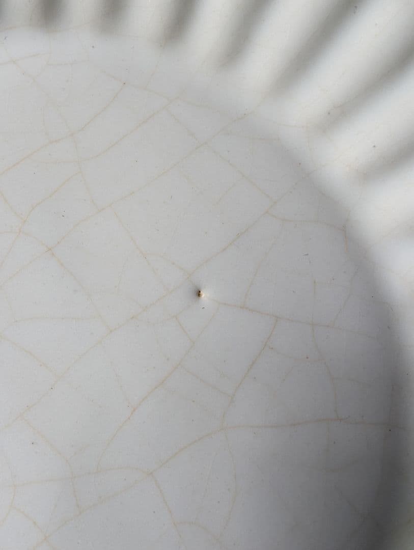 高島大樹 輪花大皿 6枚組