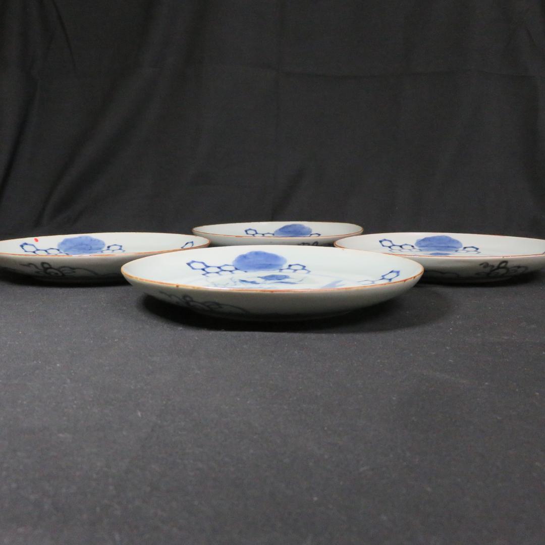 古伊万里 中皿 染付 4枚 甘手 蛤チップ 歪み 貫入 獅子 江戸 - メルカリ