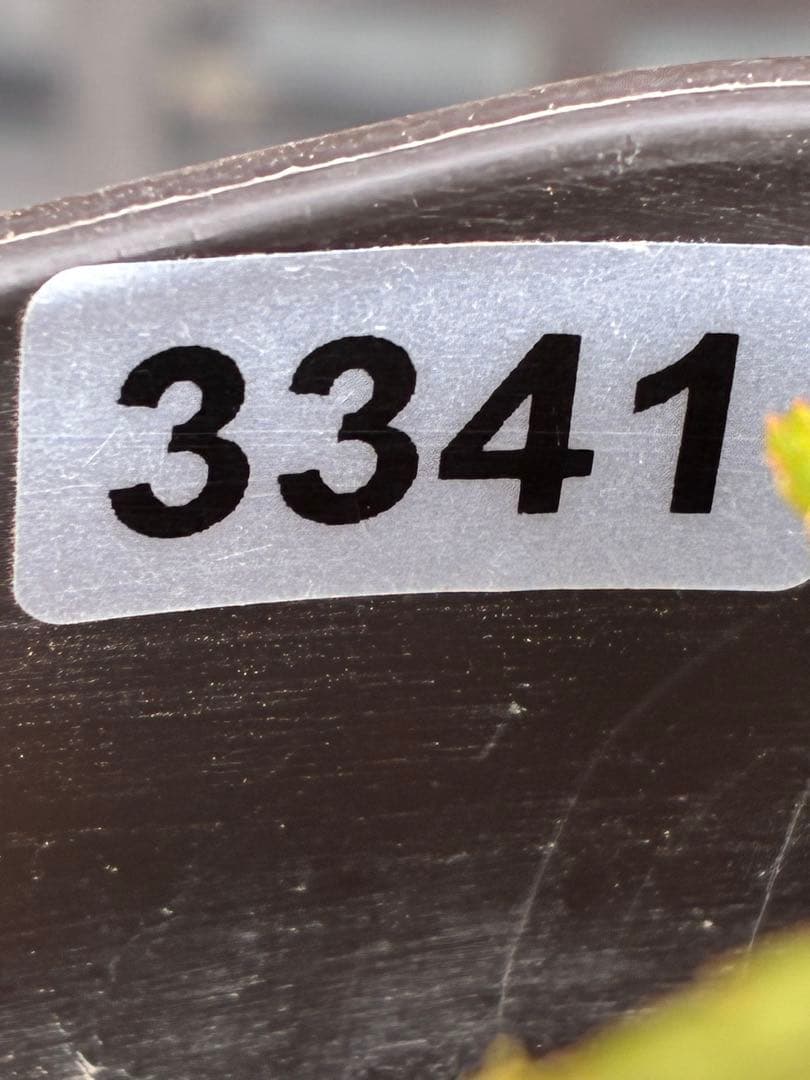 も*子様 ☘️ラスト2☘️蕾付き3341⭐️超小輪⭐️MIX顔【クレオパトラ＋彗