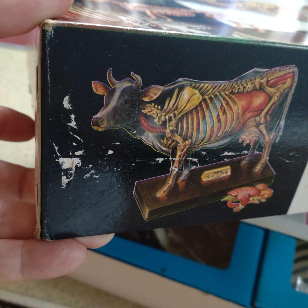 年始セール。マルサン　乳牛の秘密　プラモデル