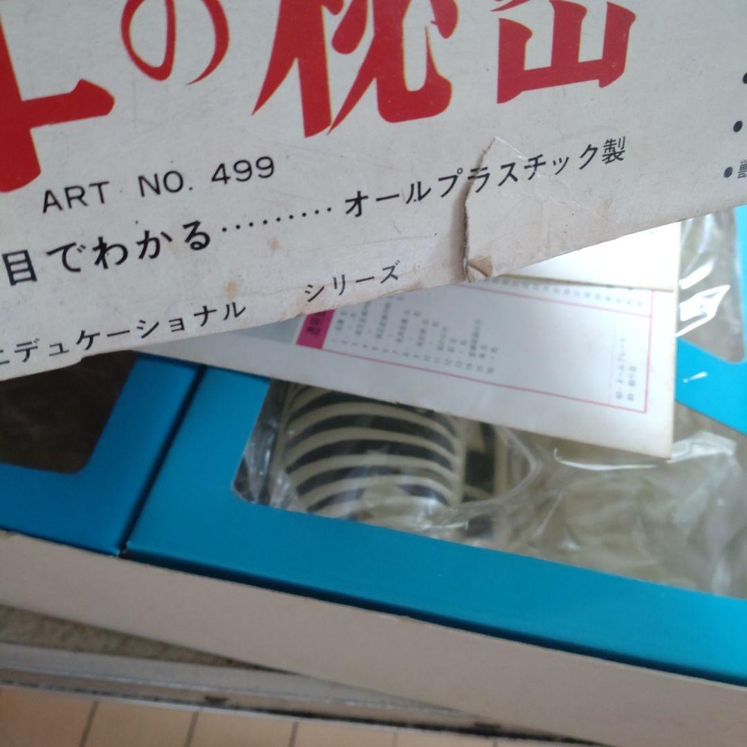 年始セール。マルサン　乳牛の秘密　プラモデル