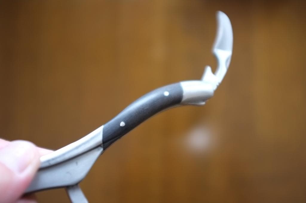 ラギオール・アン・オブラック バッファローホーン (角)