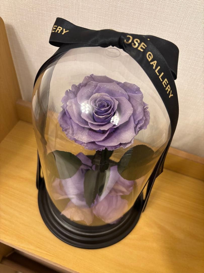 ローズギャラリー　バラ　紫