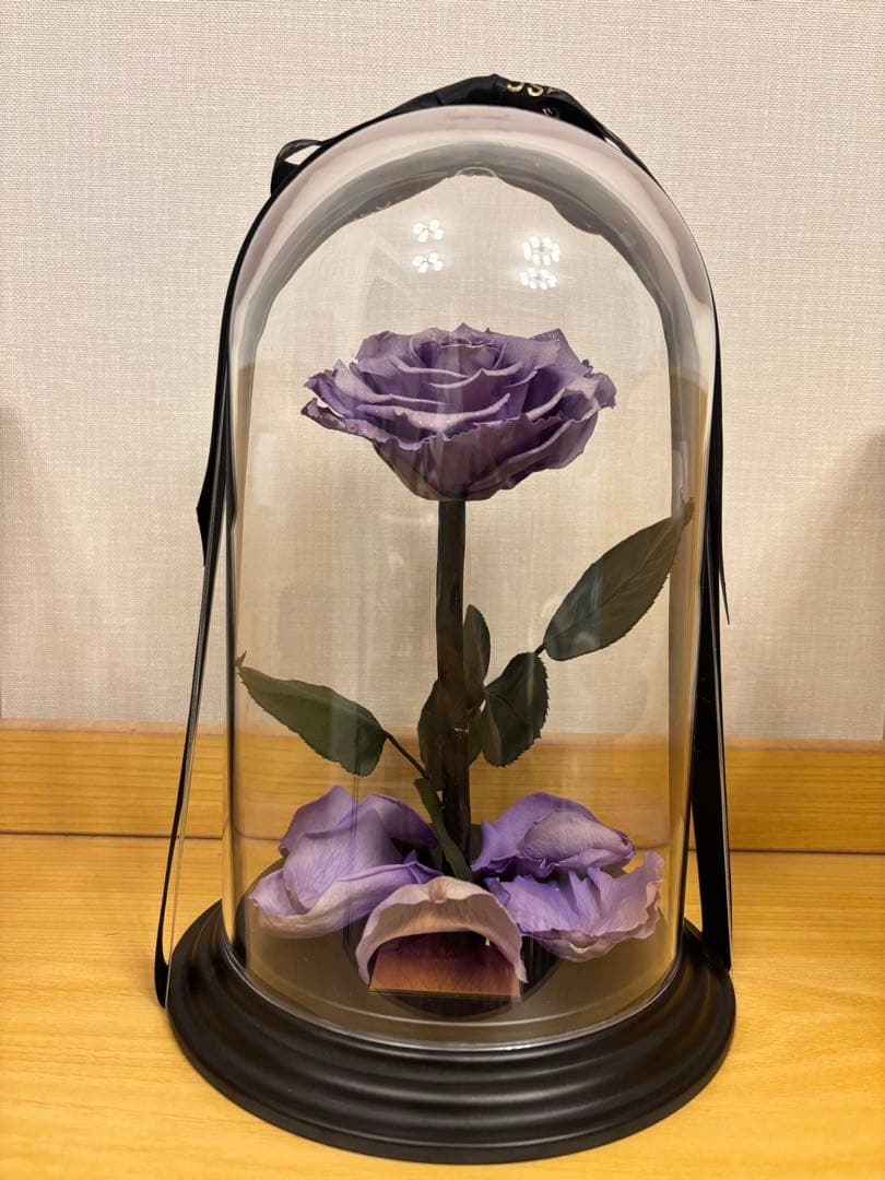 ローズギャラリー　バラ　紫