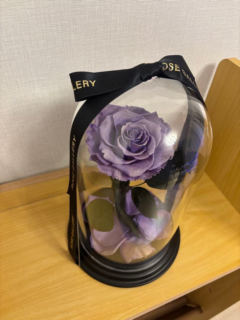 ローズギャラリー　バラ　紫