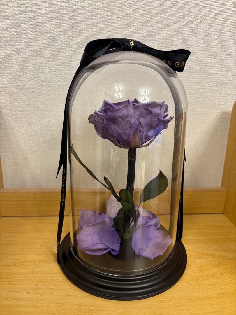 ローズギャラリー　バラ　紫