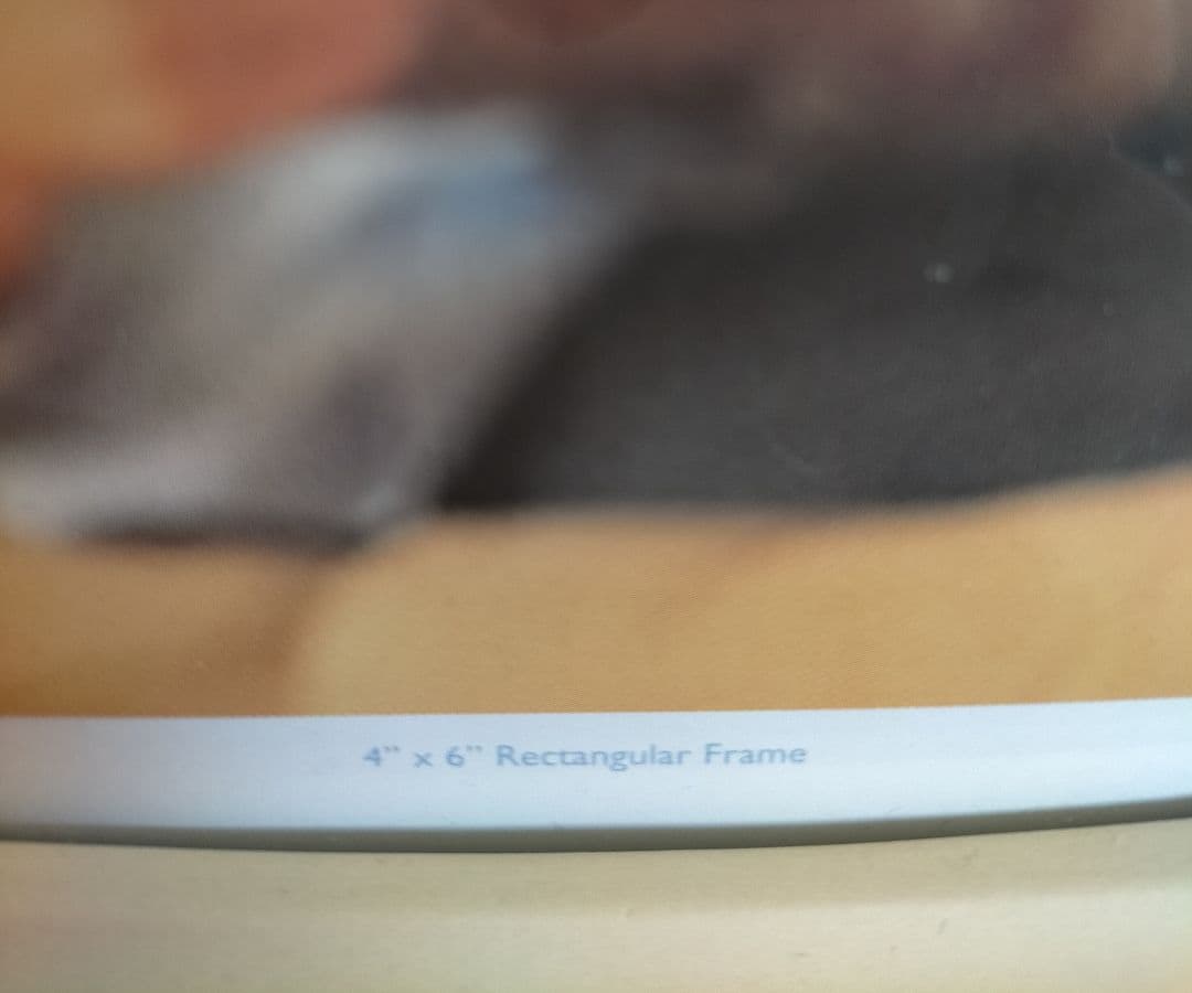 【廃盤品✨️新品】ウェッジウッド ・ピクチャーフレーム 陶器製