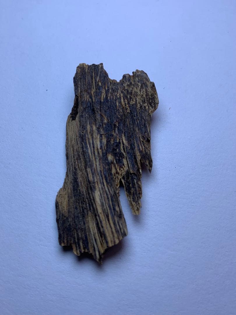 香木  沈水甘沈梗 5.092gベトナム産沈香 聞香用 お香  沈香 伽羅 香道