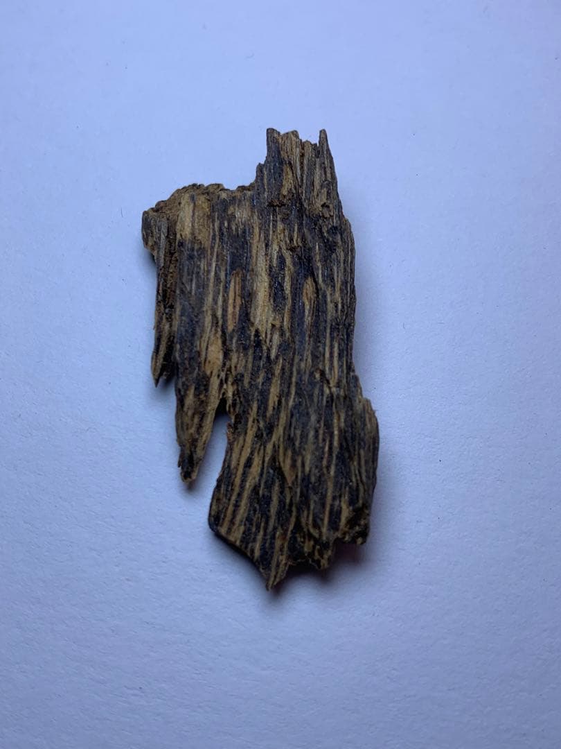 香木  沈水甘沈梗 5.092gベトナム産沈香 聞香用 お香  沈香 伽羅 香道