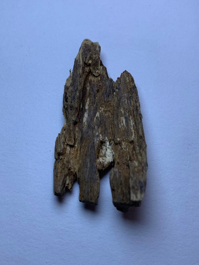 香木  沈水甘沈梗 5.092gベトナム産沈香 聞香用 お香  沈香 伽羅 香道