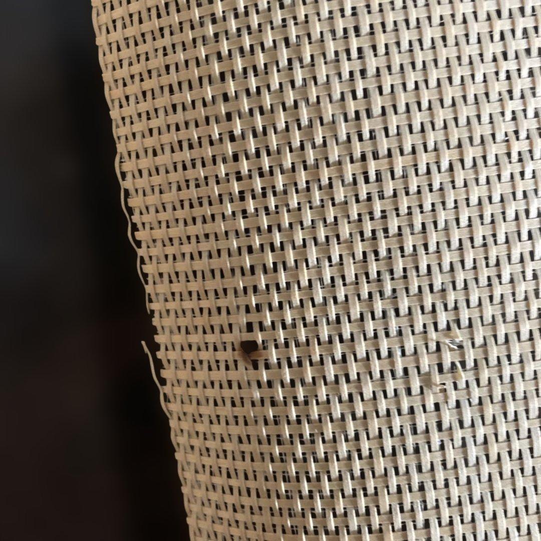 帽子材料 バクラム（バグラム） チップ•芯材 希少素材　商品説明をお読み下さい