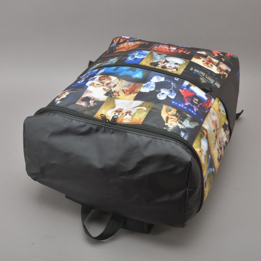 美品 東京ディズニーランド ワンマンズドリーム2 リュックサック